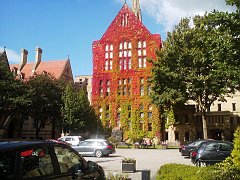 leaf building